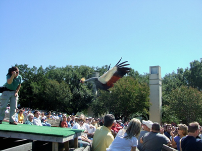 State Fair of Texas 2009 (26).JPG